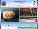 برگزاری کارگاه آموزشی حفاظت و درمان یافته‌های گلی باستان‌شناختی در دانشگاه بیرجند