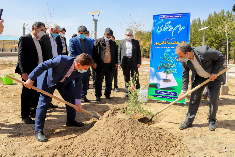 مراسم درختکاری توسط معاون وزیر علوم و رئیس سازمان امور دانشجویان در دانشگاه بیرجند برگزار شد